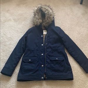 Hollister Winter Jacket
